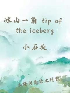 冰山一角 tip of the iceberg